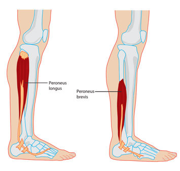 Hiking boots hurt store outside ankle bone